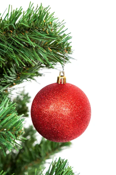Red ball on the branch of a Christmas tree on white background. Stock Photo