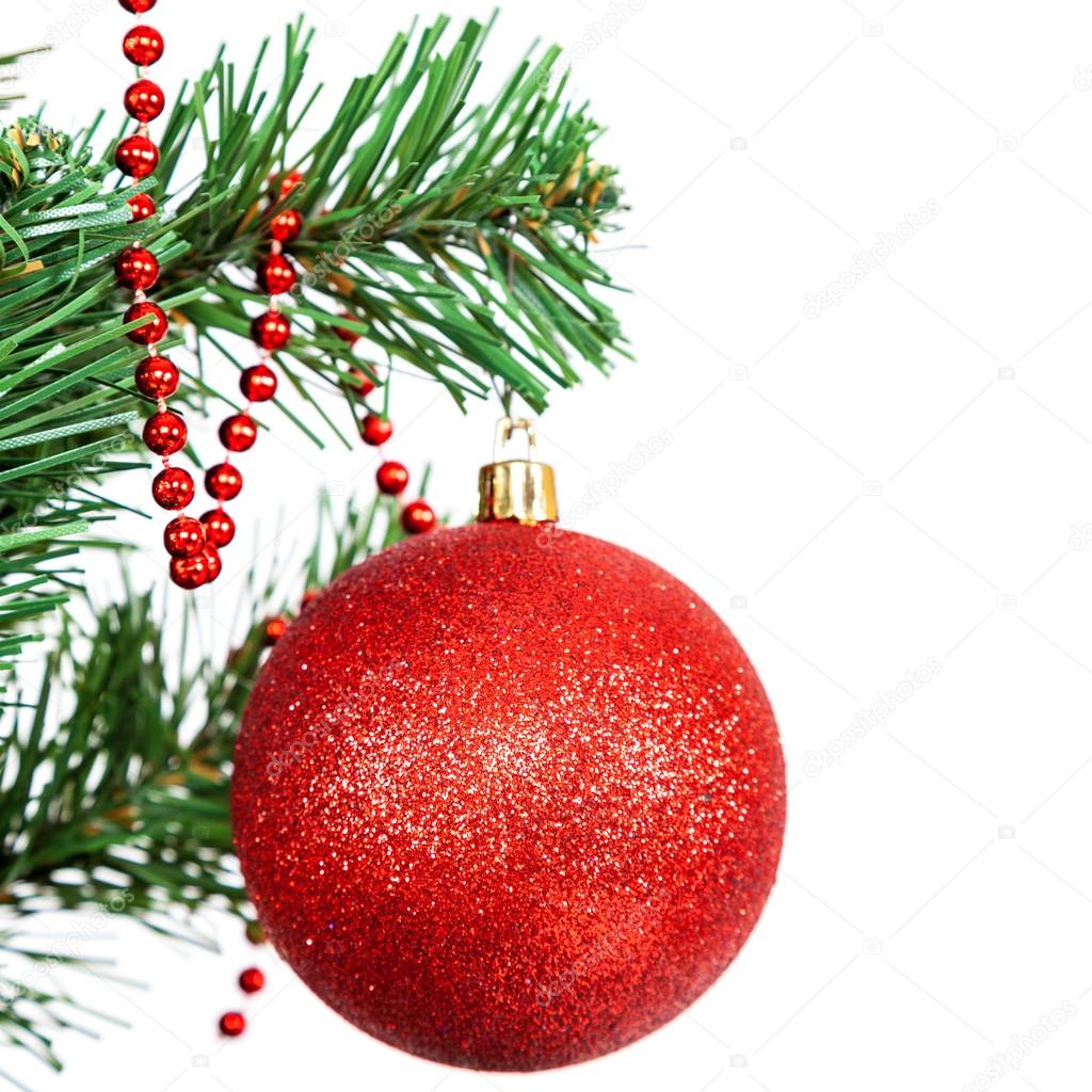 Red ball on the branch of a Christmas tree on white background.