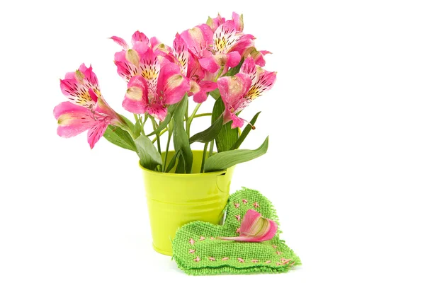 Pink lily blommor i en hink och kudde-hjärta. — Stockfoto