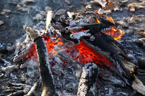 Gros plan d'un incendie extérieur qui brûle . — Photo