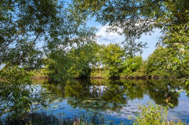 Clou ile mavi gökyüzü arka plan üzerinde Nehri yakınında yeşil ağaçlar