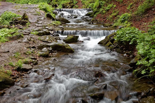 Foresta fiume di montagna in una chiara giornata di sole . — Foto Stock