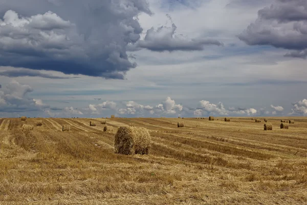 Geoogste tarweveld met hooi rollen op de achtergrond van een stor — Stockfoto