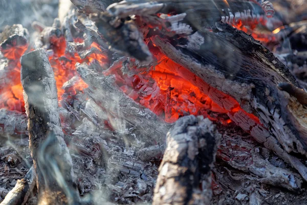 Close up of an outdoor fire burning. — Stock Photo, Image