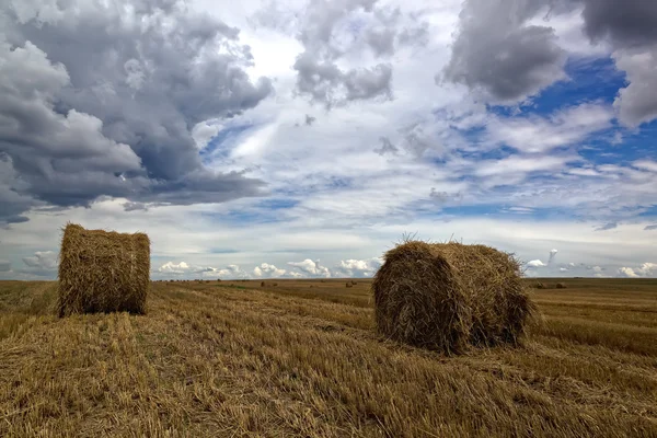 Campo di grano raccolto con rotoli di fieno e un cielo tempestoso . — Foto Stock