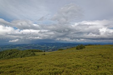 Meadowin dağlar. Dağ manzarası.