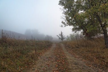 Yol gündoğumu, sonbahar sabahı siste.