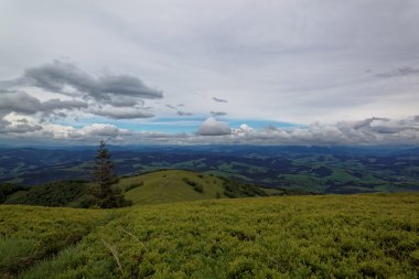 Çayır dağlarda. Dağ manzarası.