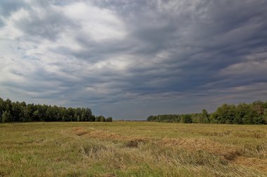 Buğday hasat sonra alan ve fırtınalı gökyüzü.