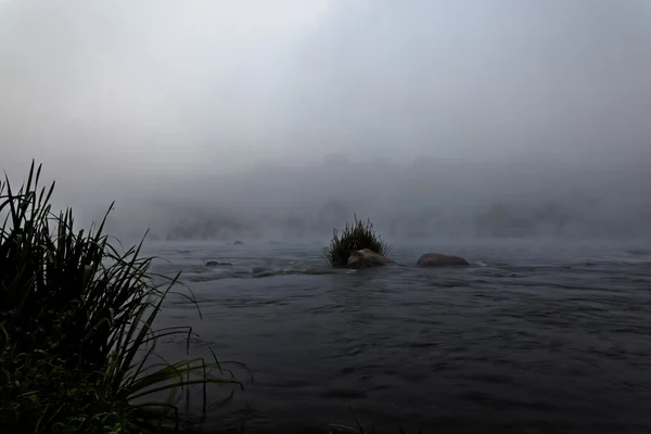 Floresta rio corredeiras nevoeiro da manhã ao nascer do sol . — Fotografia de Stock