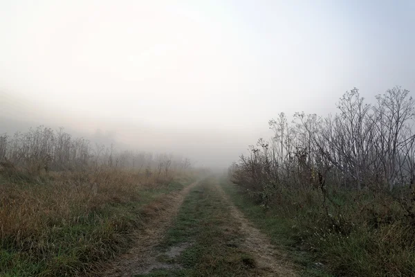 Straße im herbstlichen Morgennebel bei Sonnenaufgang. — Stockfoto