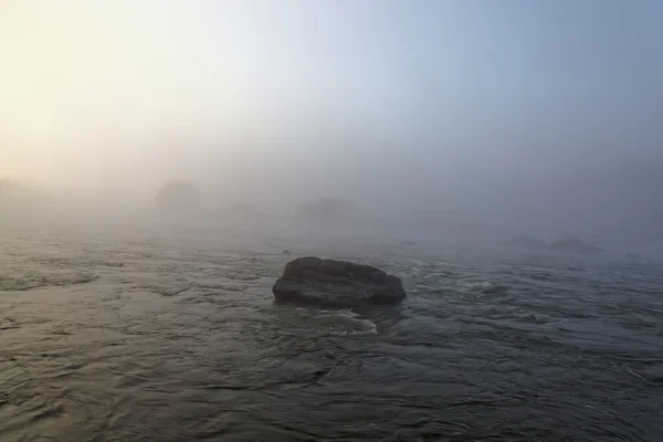 在森林的晨雾在日出河. — 图库照片