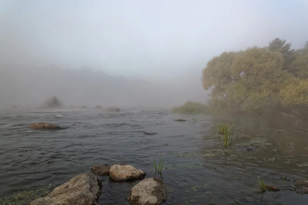 Rio na floresta nevoeiro matutino ao nascer do sol . — Fotografia de Stock