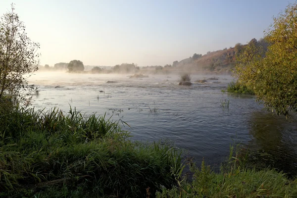 Lesní řeka peřejí ranní mlha za úsvitu. — Stock fotografie