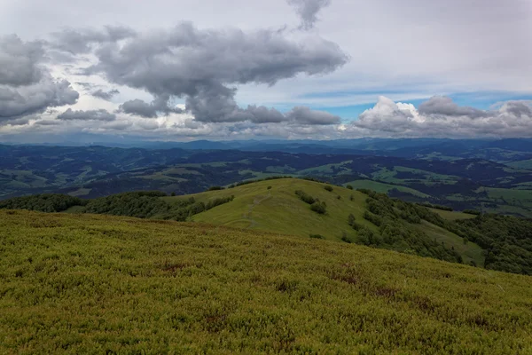 Äng i bergen. Bergslandskap. — Stockfoto