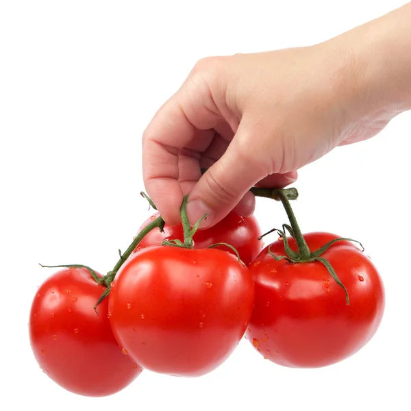 Oddział świeżych pomidorów w dłoni na tle. — Zdjęcie stockowe