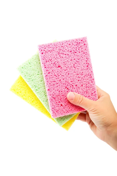 Sponge in hand on white background. — Stock Photo, Image