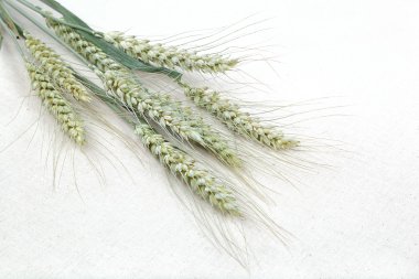 Kumaş kulaklara buğday demet.