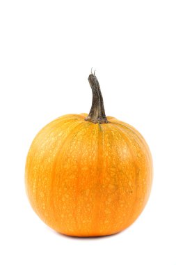 Beyaz arkaplanda kabak izole
