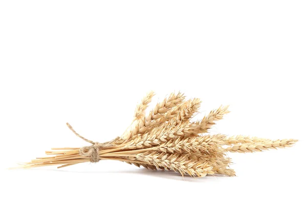 Sheaf of wheat ears on white background. — Stock Photo, Image