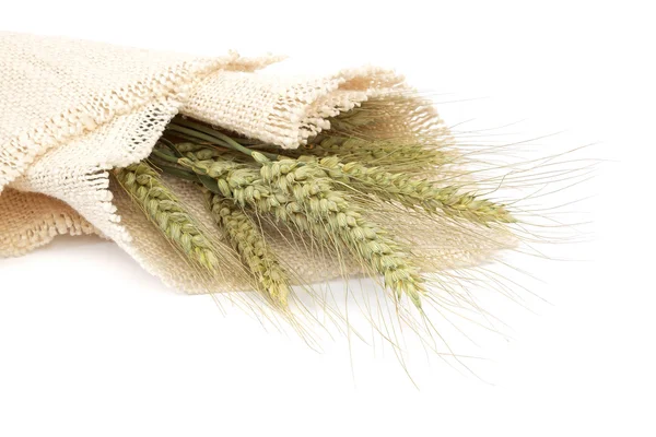 Sheaf of wheat ears on white background. — Stock Photo, Image