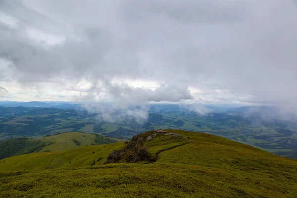 Prado en las montañas. Paisaje de montaña —  Fotos de Stock