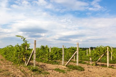 Bir arka plan mavi gökyüzünde bulutlar ile bağında