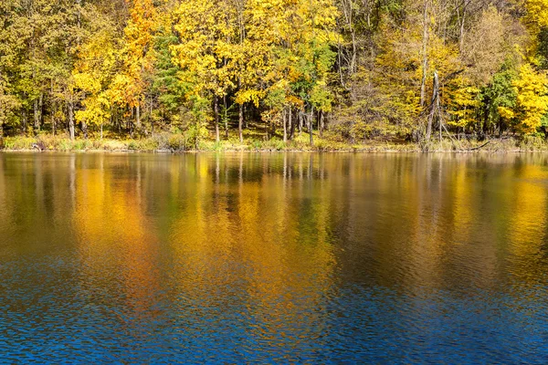 Cores de outono em uma floresta perto de um lago — Fotografia de Stock