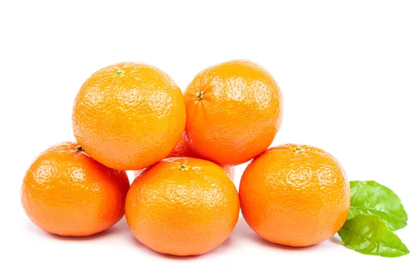 Mandarins on a white background. — Stock Photo, Image