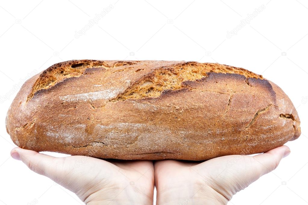 Fresh bread in the hands on white background.