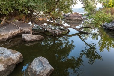 Taş rapids puslu sabah bir Nehri üzerinde.