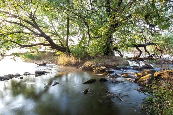 Rapide di pietra sul fiume una mattina nebbiosa . — Foto Stock