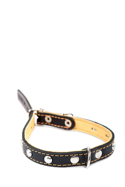 Leather belt collar on a white background. — Stock Photo, Image
