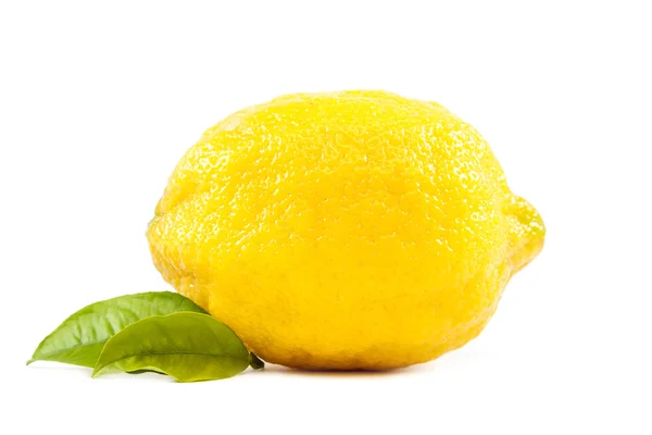 Fresh lemon fruit with green leaves. — Stock Photo, Image