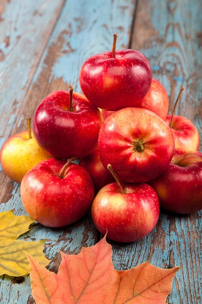 Frische Äpfel und Herbst-Ahornblatt. — Stockfoto