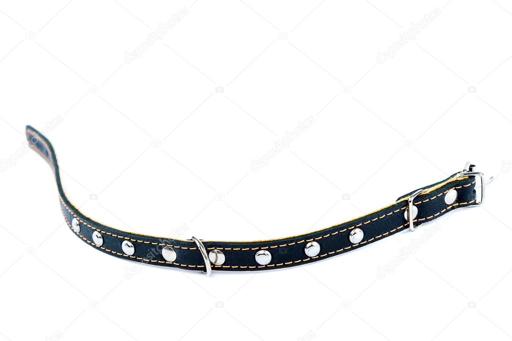 Leather belt collar on a white background.