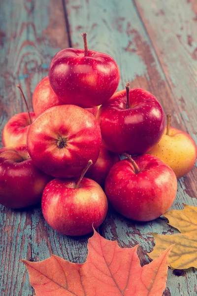 Frische Äpfel und Herbst-Ahornblatt. — Stockfoto