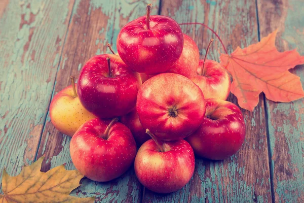 Frische Äpfel und Herbst-Ahornblatt. — Stockfoto