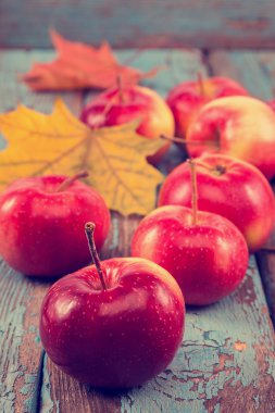 Taze elma ve sonbahar akçaağaç yaprağı.