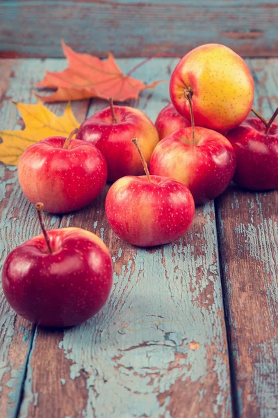 Frische Äpfel und Herbst-Ahornblatt. — Stockfoto