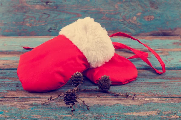 Red mittens with fur and a branch of pine tree with cones — Stock Photo, Image