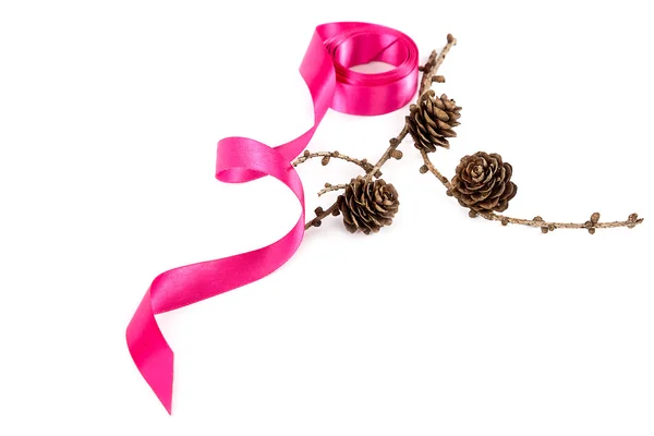 Holiday pink ribbon and a branch of pine tree with pine cones — Stock Photo, Image