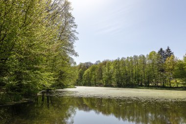 Mavi gökyüzü karşı Orman Gölü