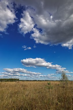 Peyzaj çim çayır mavi gökyüzü bulutlu karşı