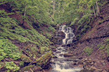Dağ nehir rapids ve şelaleler