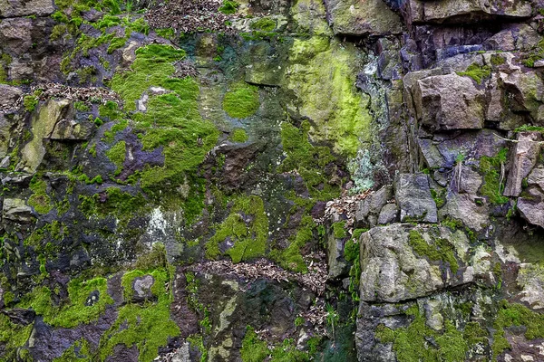 Rocas con musgo verde como fondo —  Fotos de Stock