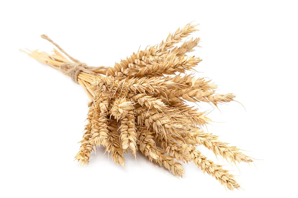 Sheaf of wheat ears on white background. — Stock Photo, Image