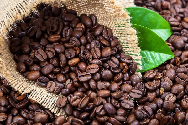 Granos de café con hojas verdes —  Fotos de Stock