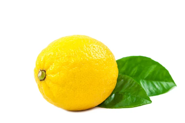 Citron med gröna blad på vit bakgrund. — Stockfoto