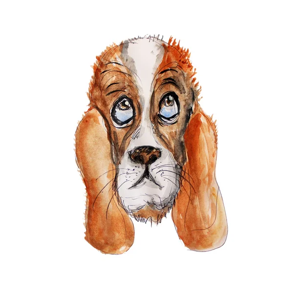 Köpek suluboya ve mürekkep kafa illüstrasyon